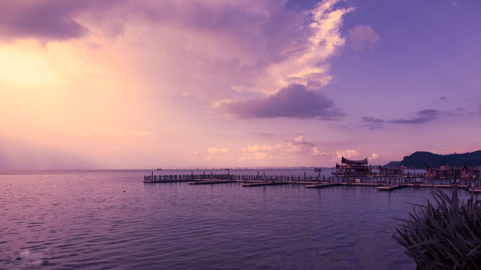 Con-Minh-Van-Nam-Trung-Quoc